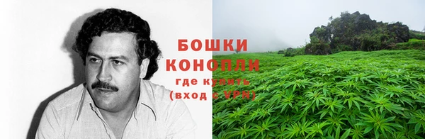 герыч Бронницы