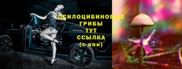 сатива Бугульма