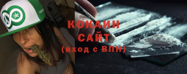 молекула духа Богородицк