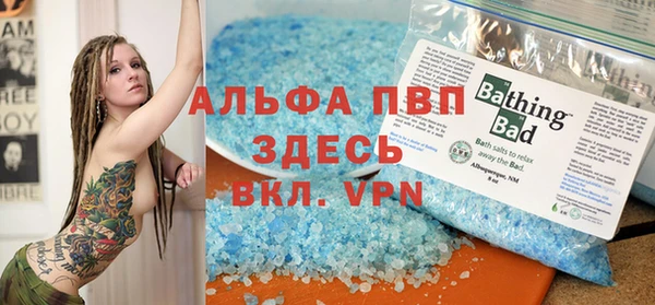 хмурый Верея