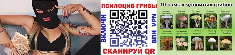 Купить где  Междуреченск  Галлюциногенные грибы мицелий 